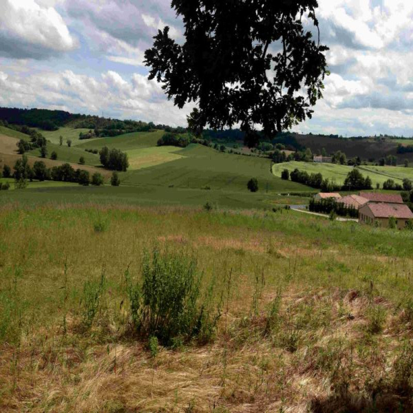 Offres de vente Terrain Bertre 81700